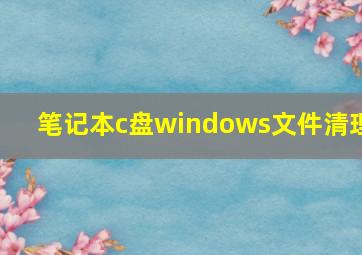 笔记本c盘windows文件清理