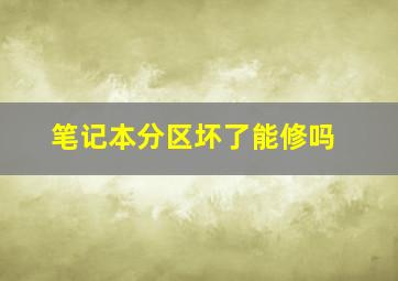 笔记本分区坏了能修吗