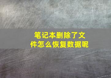 笔记本删除了文件怎么恢复数据呢