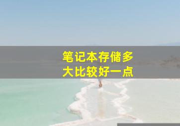 笔记本存储多大比较好一点