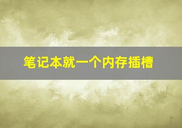 笔记本就一个内存插槽