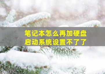 笔记本怎么再加硬盘启动系统设置不了了