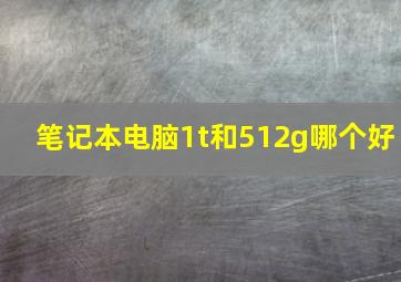 笔记本电脑1t和512g哪个好