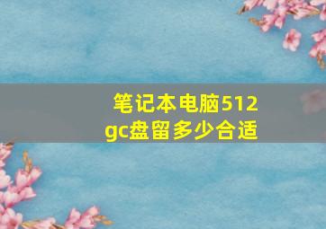 笔记本电脑512gc盘留多少合适