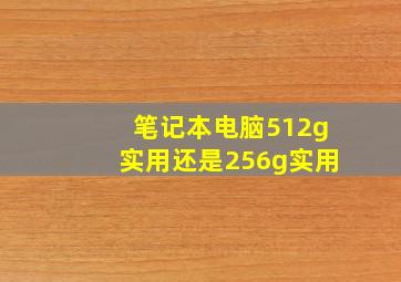 笔记本电脑512g实用还是256g实用