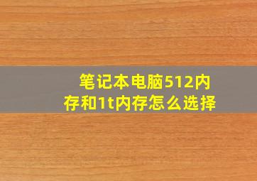 笔记本电脑512内存和1t内存怎么选择