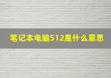 笔记本电脑512是什么意思