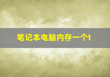 笔记本电脑内存一个t