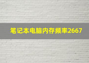 笔记本电脑内存频率2667