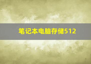 笔记本电脑存储512