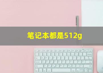 笔记本都是512g