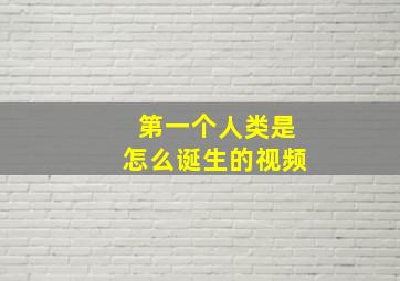 第一个人类是怎么诞生的视频