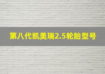 第八代凯美瑞2.5轮胎型号