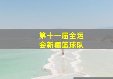 第十一届全运会新疆篮球队