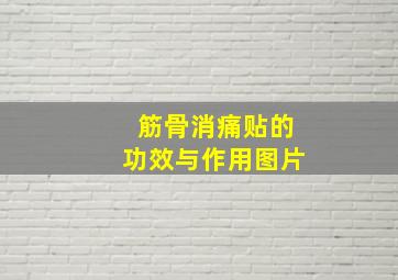 筋骨消痛贴的功效与作用图片