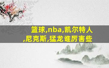 篮球,nba,凯尔特人,尼克斯,猛龙谁厉害些