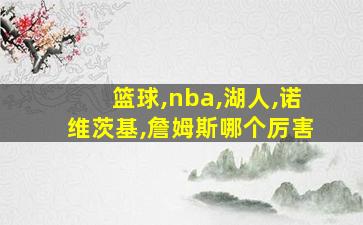 篮球,nba,湖人,诺维茨基,詹姆斯哪个厉害