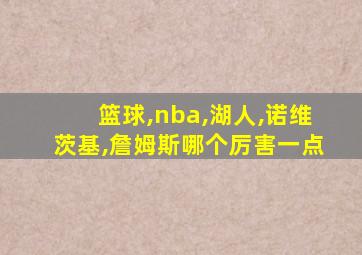 篮球,nba,湖人,诺维茨基,詹姆斯哪个厉害一点