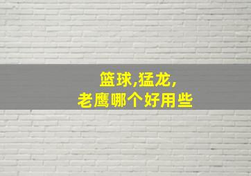 篮球,猛龙,老鹰哪个好用些