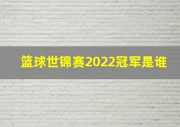 篮球世锦赛2022冠军是谁