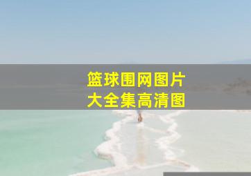 篮球围网图片大全集高清图