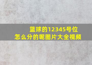 篮球的12345号位怎么分的呢图片大全视频