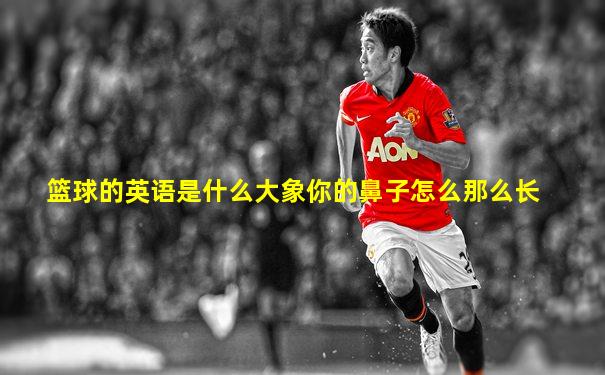 篮球的英语是什么大象你的鼻子怎么那么长