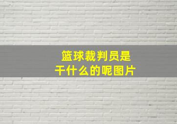 篮球裁判员是干什么的呢图片