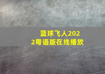 篮球飞人2022粤语版在线播放