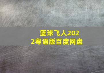 篮球飞人2022粤语版百度网盘