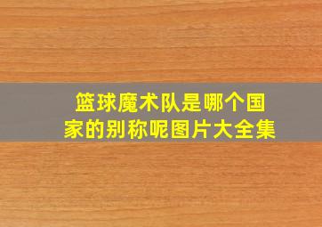 篮球魔术队是哪个国家的别称呢图片大全集