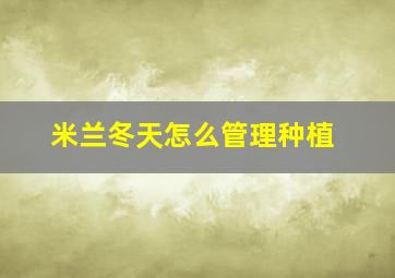 米兰冬天怎么管理种植