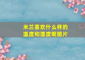 米兰喜欢什么样的温度和湿度呢图片