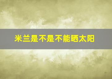 米兰是不是不能晒太阳