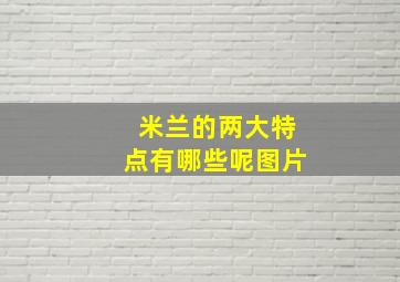 米兰的两大特点有哪些呢图片