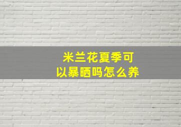 米兰花夏季可以暴晒吗怎么养