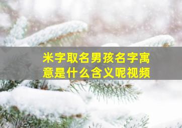 米字取名男孩名字寓意是什么含义呢视频