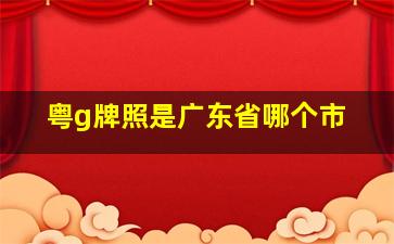 粤g牌照是广东省哪个市