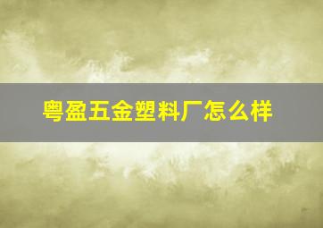 粤盈五金塑料厂怎么样