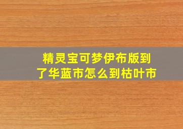 精灵宝可梦伊布版到了华蓝市怎么到枯叶市