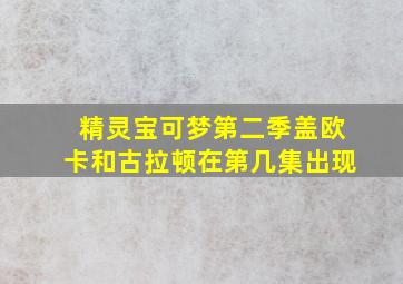 精灵宝可梦第二季盖欧卡和古拉顿在第几集出现