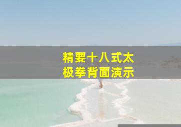 精要十八式太极拳背面演示