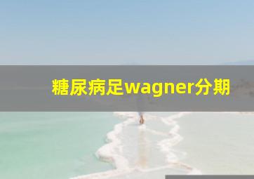 糖尿病足wagner分期