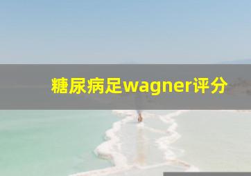 糖尿病足wagner评分