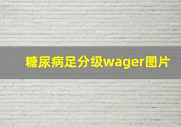 糖尿病足分级wager图片