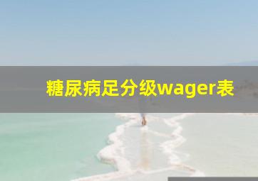 糖尿病足分级wager表