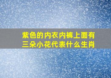 紫色的内衣内裤上面有三朵小花代表什么生肖