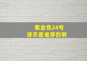 紫金色24号球衣是谁穿的啊