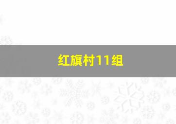 红旗村11组