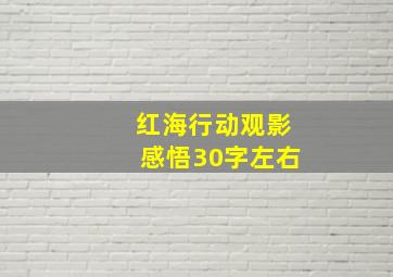 红海行动观影感悟30字左右